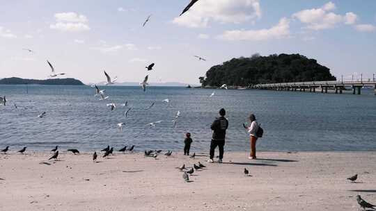 海城景观鸟