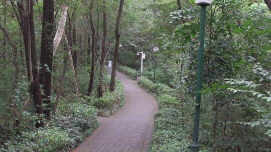 公园系列-广州花果山公园25视频素材模板下载