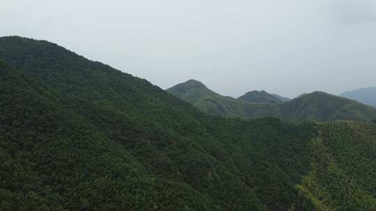 4K航拍浙江安吉山林风格