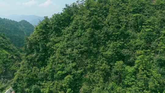 安徽皖南璜尖山区山顶公路