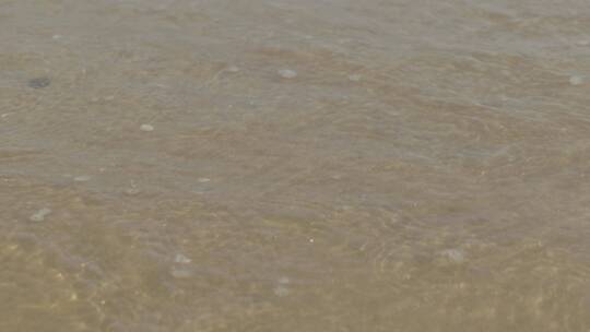 沙滩上海水冲刷贝壳，赶海