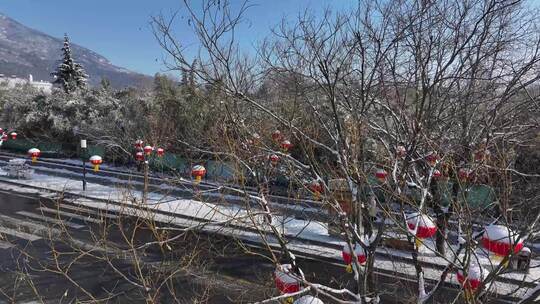 泰山红门路，再现“雪打灯”的美景