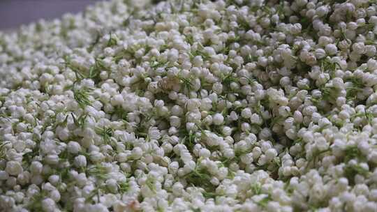 升格慢动作微距特写茉莉花与茉莉花茶制作