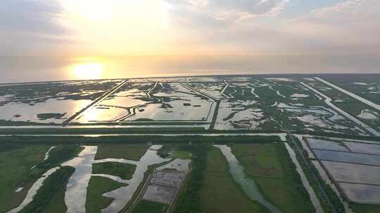 金色日出上海崇明岛东滩湿地全景