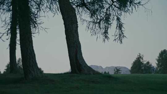 Alpe Di Siusi，白云石，风景