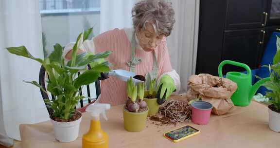 种植、教学视频、观看、室内植物护理