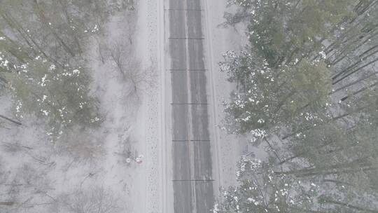 唯美冬季长白山原始森林公路航拍雪景