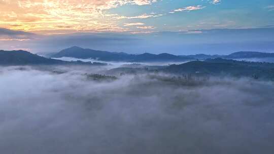 航拍云雾中的茶山