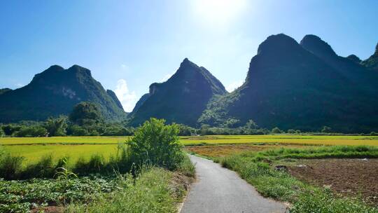 广西阳朔遇龙河美丽乡村田园风光