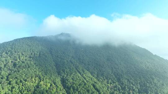 雨后森林航拍云海上升云层之上绿色清新空气