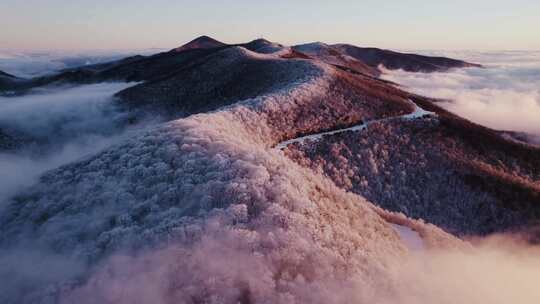 云海、雪山、火树银花、白雪皑皑