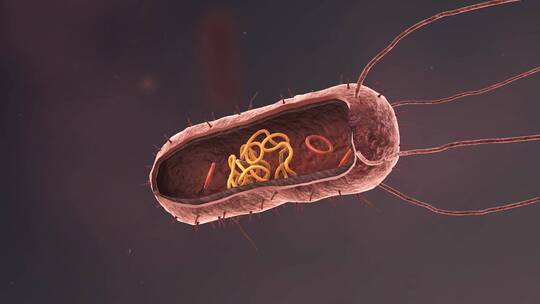 医疗病菌病毒细菌分子病原体生物三维动画