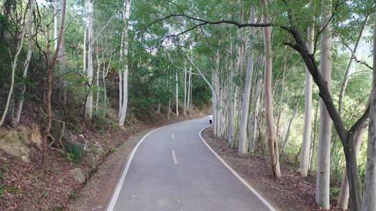 美女树林公路跑步森林奔跑锻炼