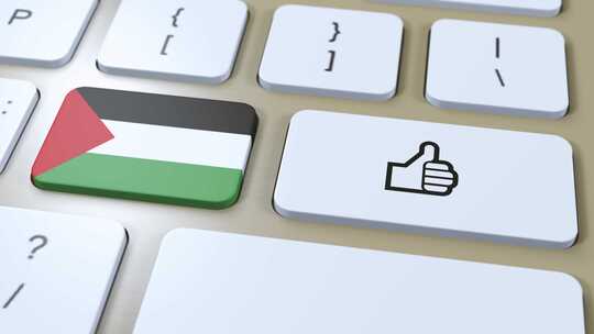 巴勒斯坦国旗和是或竖起大拇指按钮3D动画视频素材模板下载