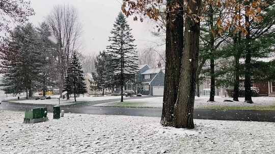 寒冷的暴风雪天气