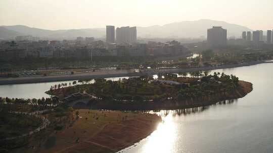 厦门 海沧 马銮湾 湿地公园 落羽杉