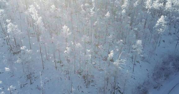 零下40多度的低温航拍大兴安岭冰雪雾凇