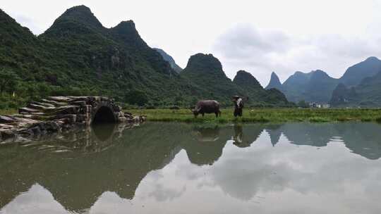 农夫与水牛在石桥上的乡村画面