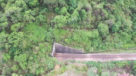俯拍铁路火车铁轨航拍树林中铁路隧道