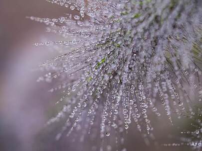 春天的第一缕阳光 春天 春天 阳光 早