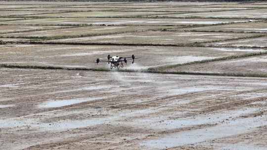 植保无人机喷洒施药视频合集视频素材模板下载