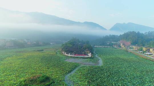 重庆市武隆区山脉 山林薄雾风景