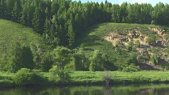 大兴安岭青松绿水树林山景