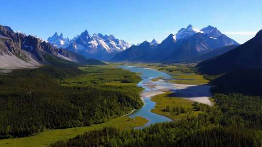 森林 风景 树林 河流 自然 景观