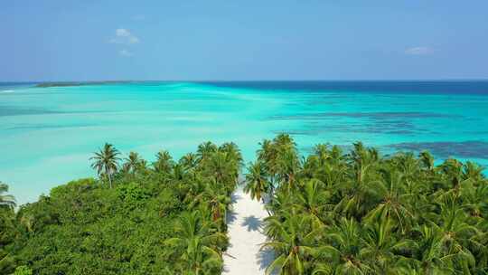 蔚蓝海边高耸的椰子树像一幅画卷