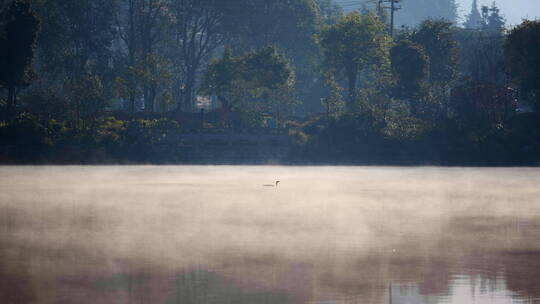 早晨云雾缭绕的湖面视频素材模板下载