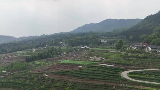 乐山沙湾四峨山梯田