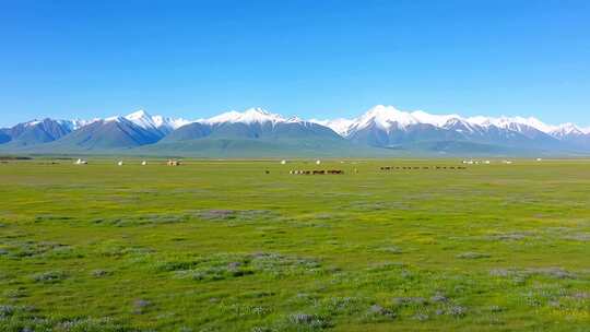 草原雪山自然风光全景