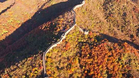 航拍长城秋色