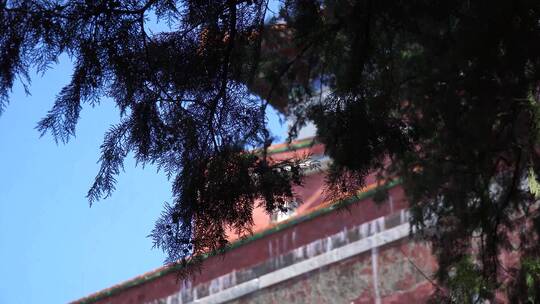 颐和园佛香阁古建筑红墙