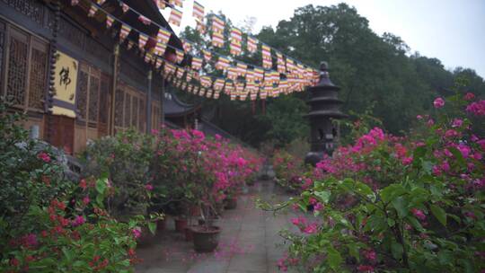 杭州上天竺法喜讲寺风景