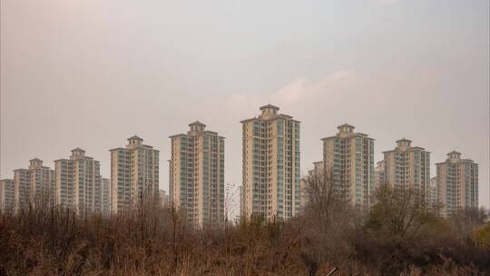 荒草枯枝房地产楼房荒诞幻像海市蜃楼