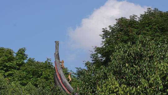 杭州千年古刹灵隐寺