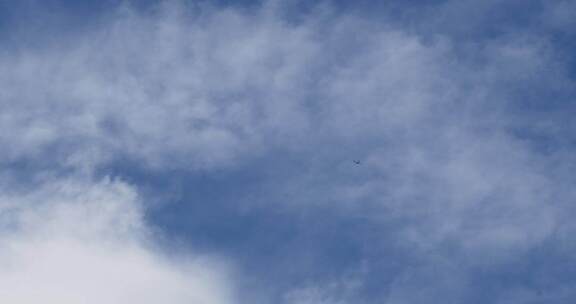 民航飞机清晨蓝天白云下飞过