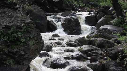 森林中 山泉小溪水