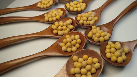 4K黄豆食品健康有机农产品