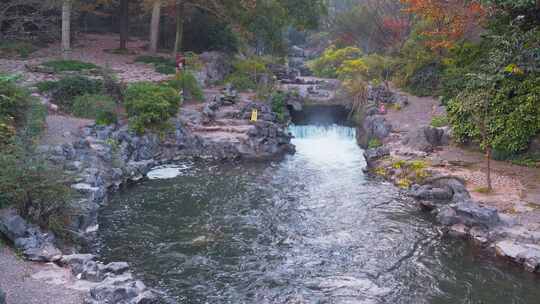 杭州西湖太子湾公园清晨山涧溪流