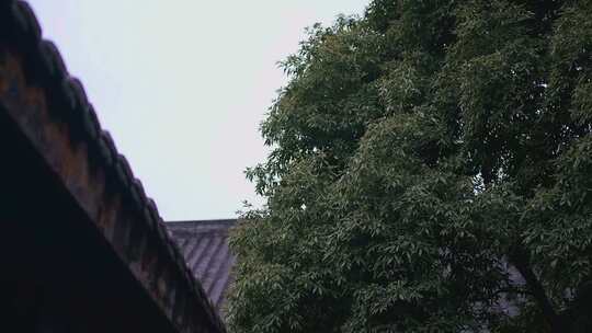 中式庭院2视频素材模板下载