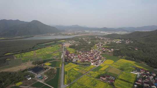 油菜花开，春日的宁国市西村风光航拍素材