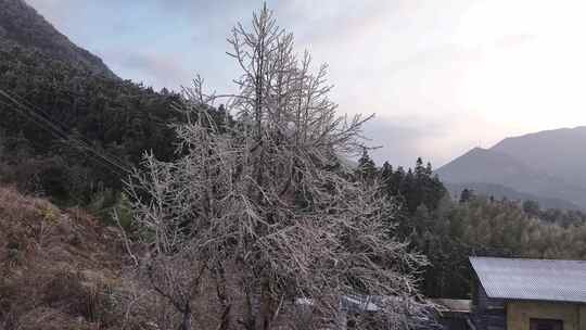 中国广东省清远市连山金子山景区