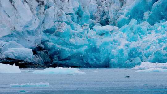 航拍海鸟飞翔冰川冰山浮冰唯美大自然