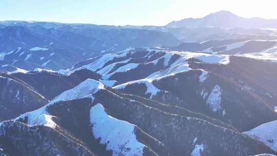 4k航拍冬季雪后祁连山草原