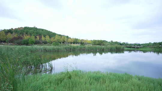 武汉江夏区藏龙岛国家湿地公园