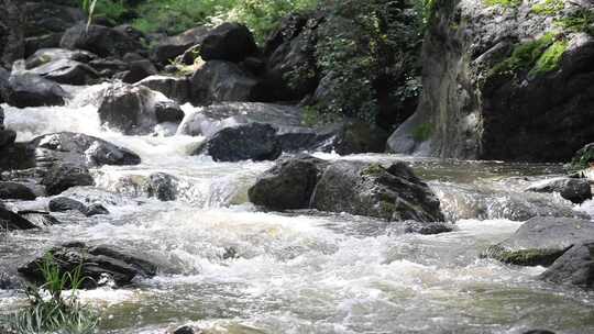 森林中 山泉小溪水