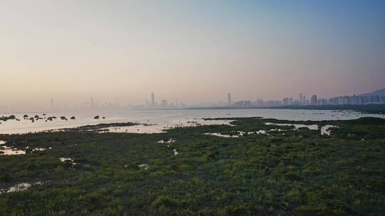 深圳福田湿地公园自然风光航拍视频