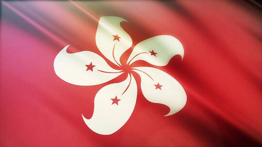 香港特别行政区区旗真实布料感视频素材模板下载